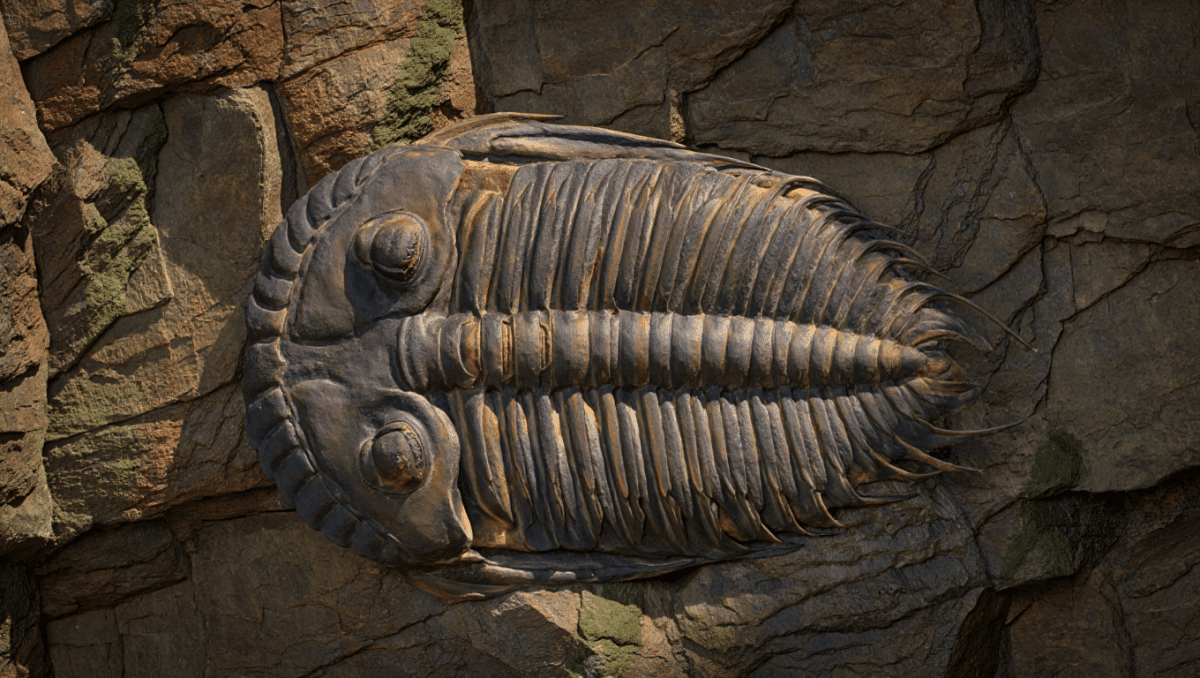 Why Evolution Stalled for Millions of Years Before Suddenly Exploding