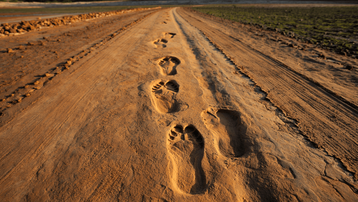 1.4-Million-Year-Old Footprints Reveal a Giant Human Relative