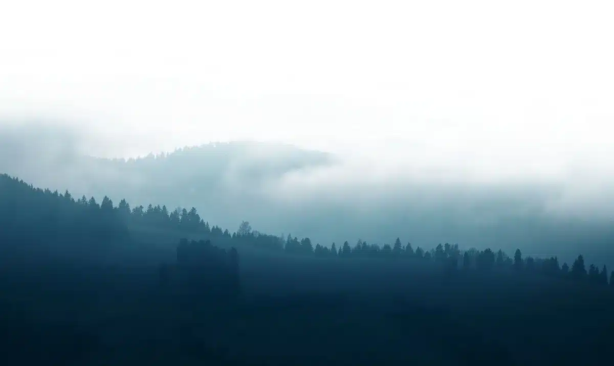 Piccola lucertola su una roccia in una foresta montana avvolta dalla nebbia all'alba