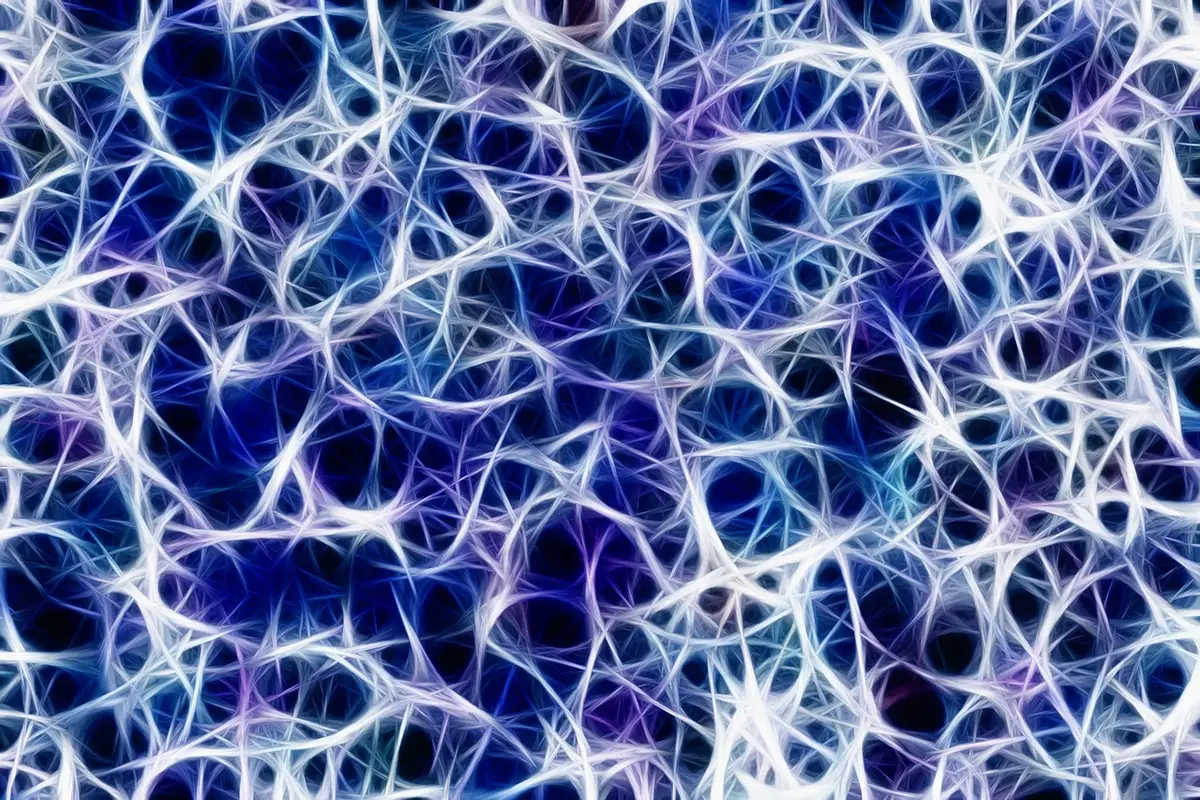Immagine al microscopio che mostra strutture neuronali danneggiate