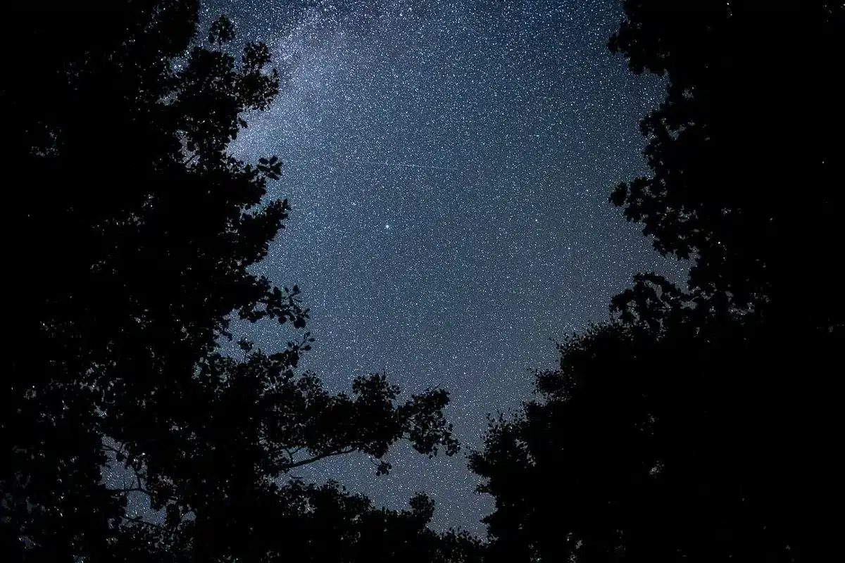 Vista panoramica di esopianeti e galassie per suggerire varietà cosmica