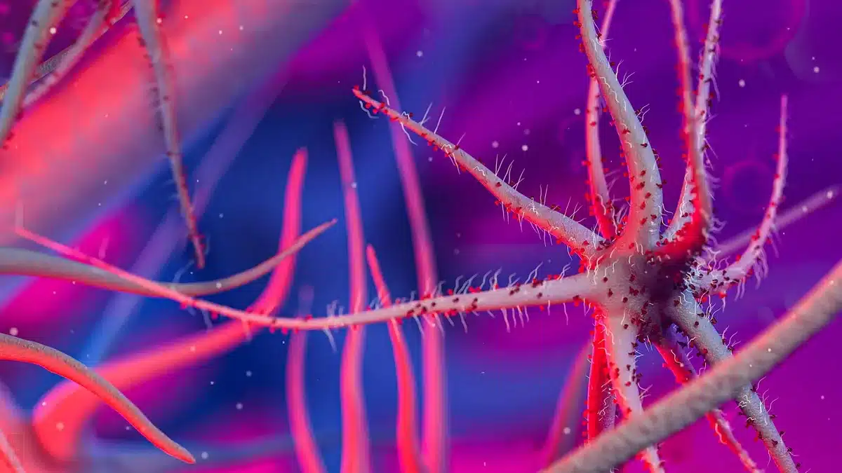 Laboratorio che esegue biopsia embrionale e analisi al microscopio