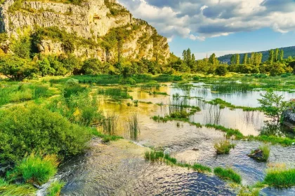Valle paludosa con canneti e ciottoli di basalto su riva fangosa