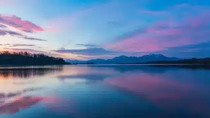 Riva di lago rossa con frammenti ossei fossili e vegetazione rada