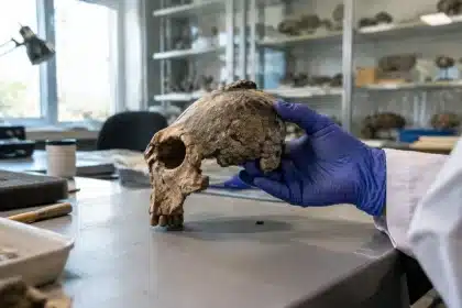 Dinosauro terrificante nascosto per 100 anni: scoperto dagli scienziati