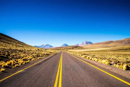 Tappeti di fiori bianchi, viola e gialli nel deserto di Atacama