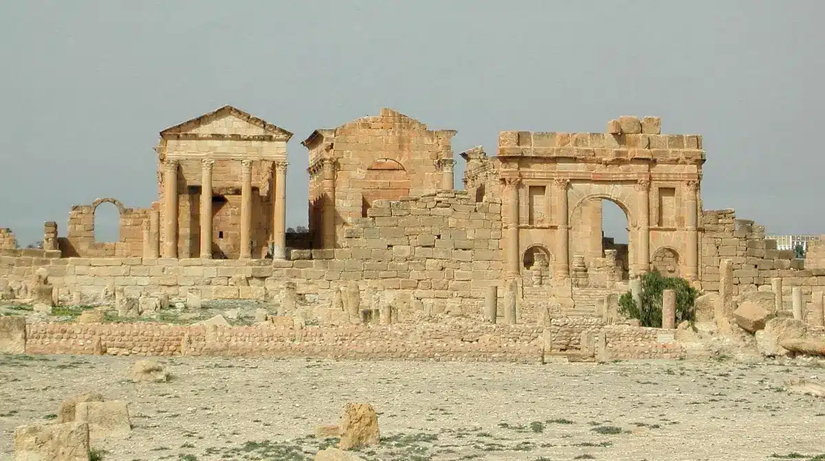 Denti ovini antichi durante uno scavo archeologico