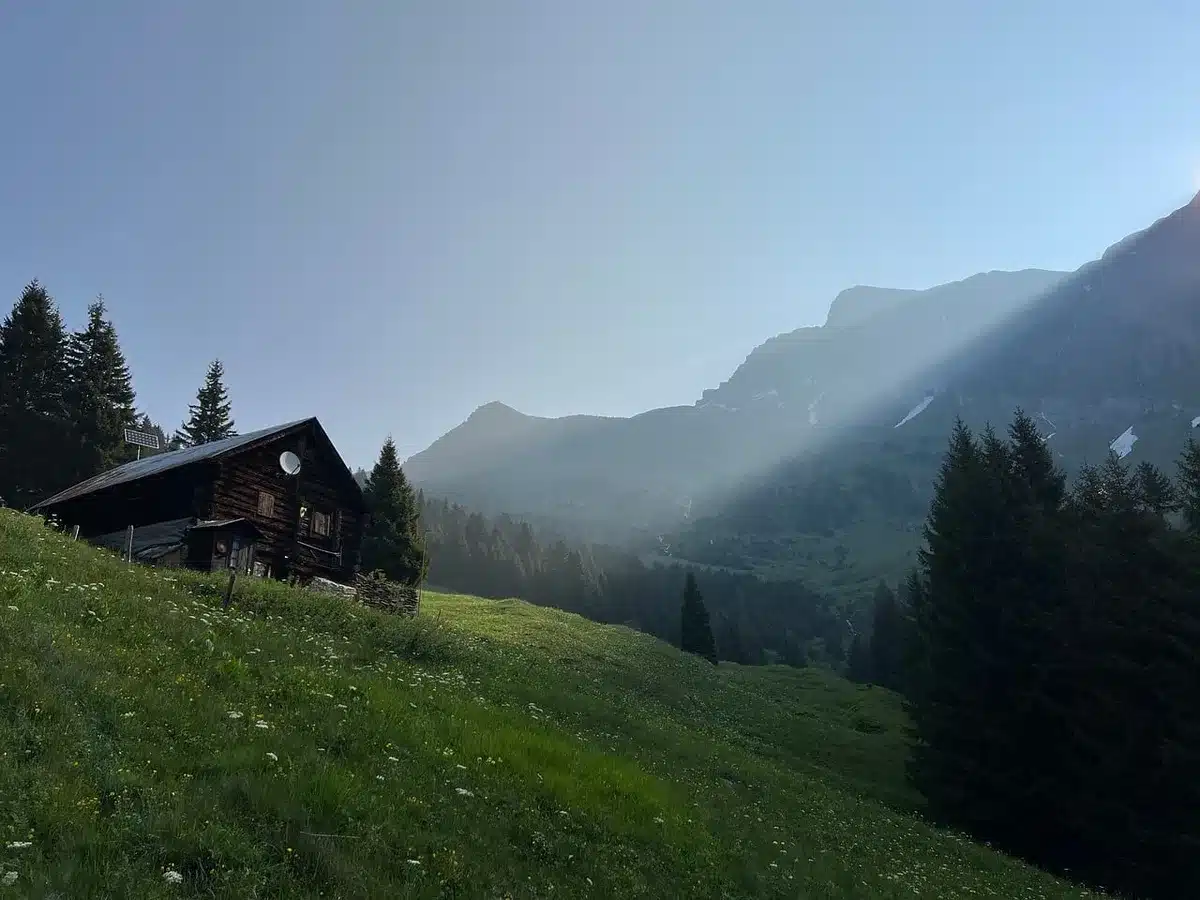 Microfono da registrazione su treppiede in una valle alpina usato per monitoraggio acustico